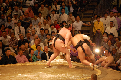 sumo016.png